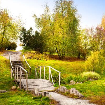 森林冰火人钓鱼